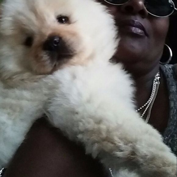 Meet your Posher, Olivia - Picture 1 of 1